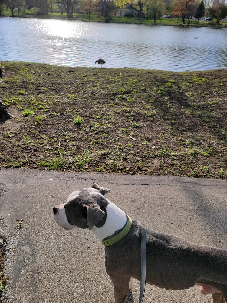 Image uploaded by Taylor Jorgensen