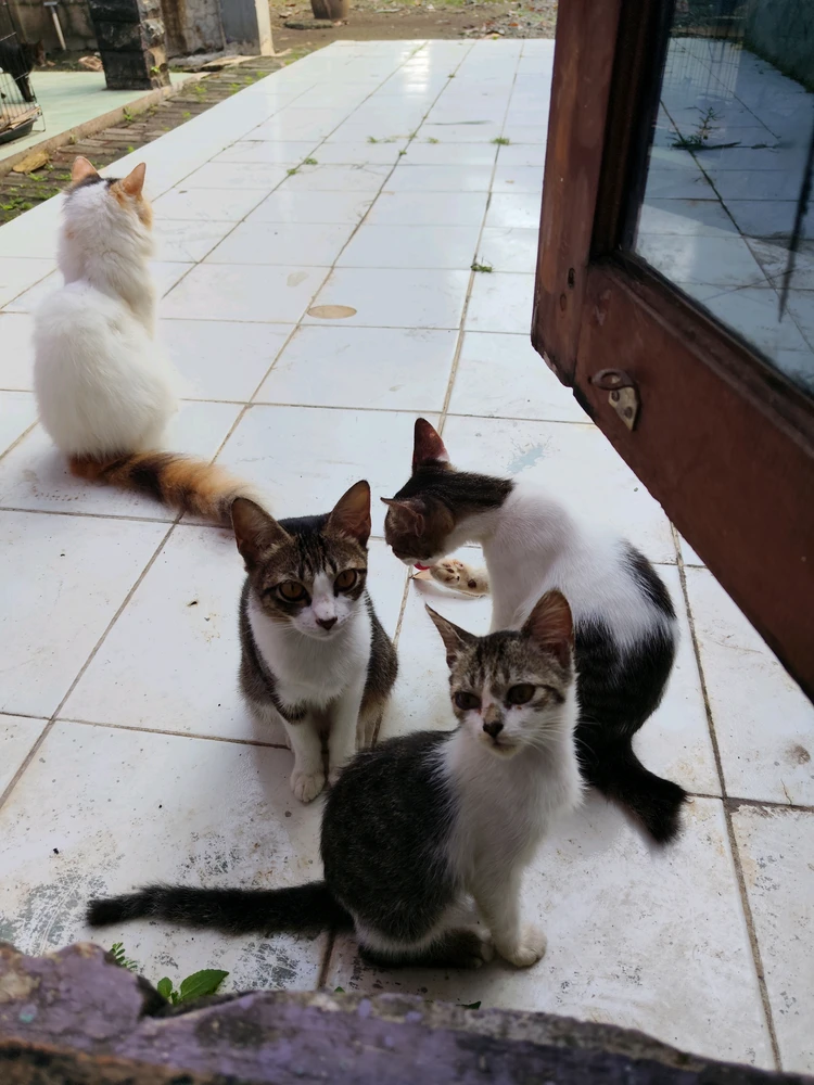 GIF uploaded by CHeeKy ORyZa