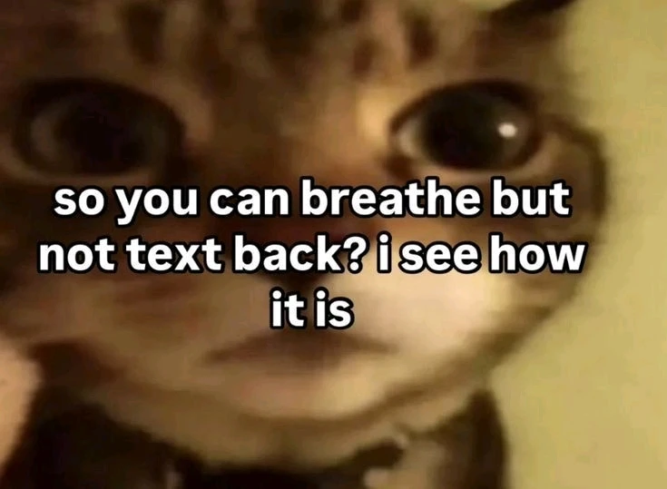 GIF uploaded by Rai