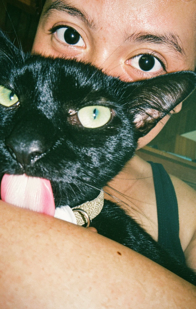 GIF uploaded by Bean