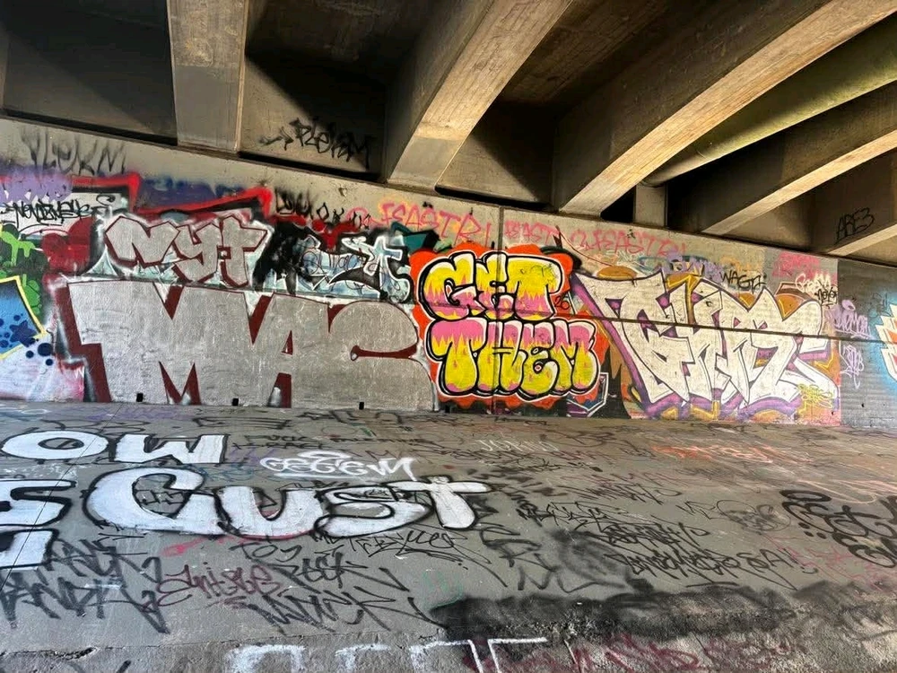 Spot. (Has it all)