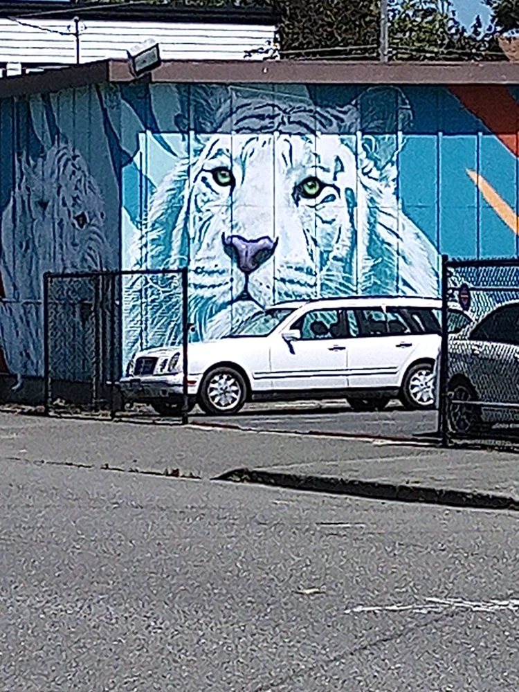 GIF uploaded by Benjiggity