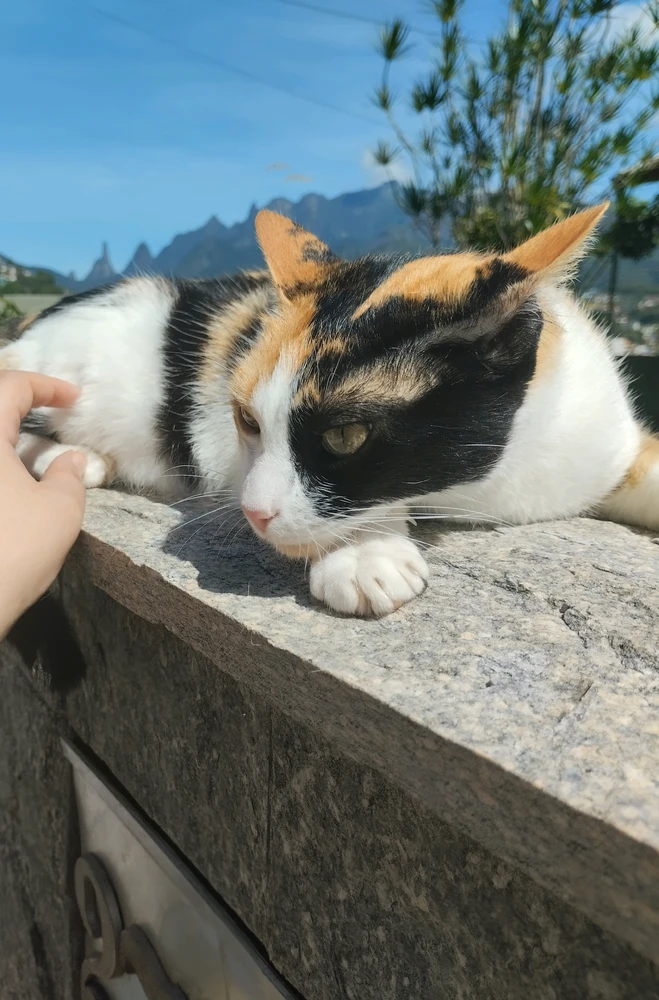 GIF enviado por Camila Lélis