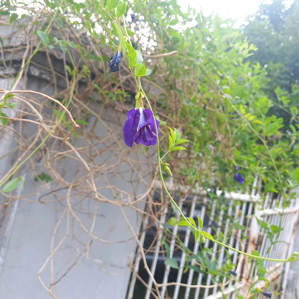 GIF uploaded by Afit
