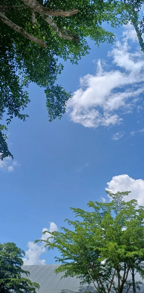 GIF diunggah oleh Teresa