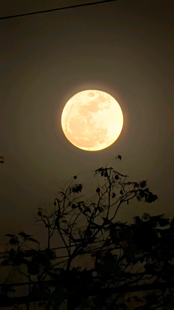 GIF uploaded by Anhuar