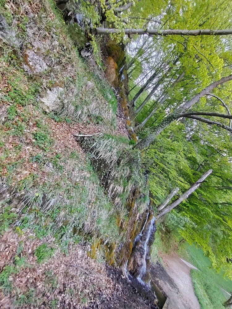 Image uploaded by Sascha/Sale V.