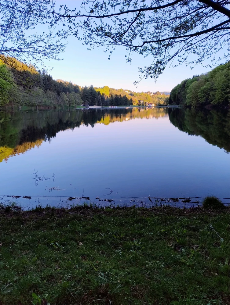 Image uploaded by Sascha/Sale V.
