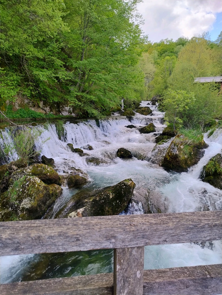 Image uploaded by Sascha/Sale V.