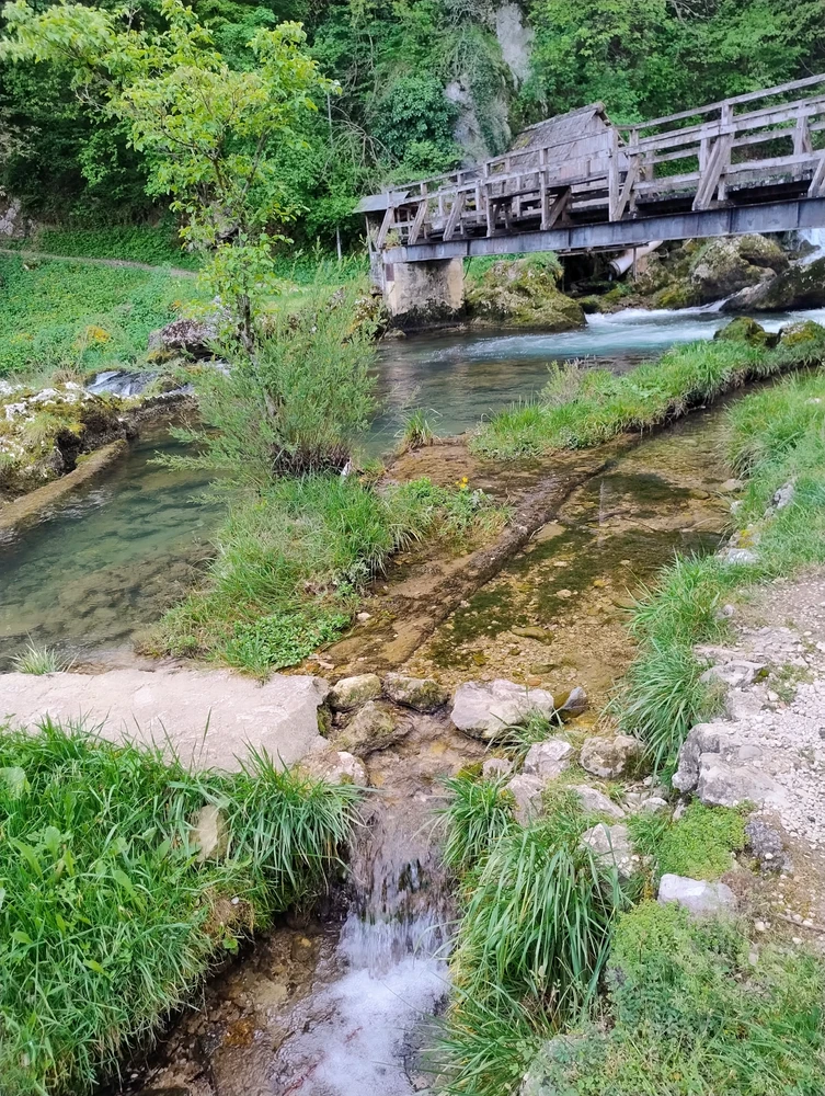 Image uploaded by Sascha/Sale V.