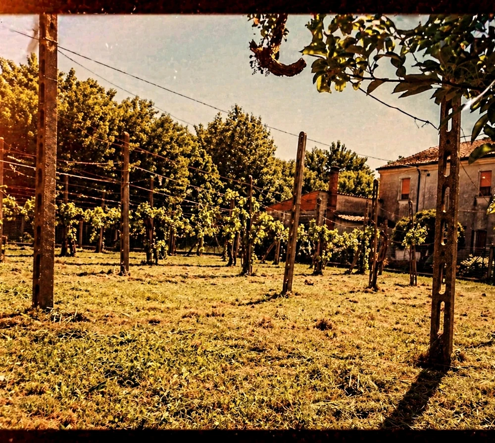 GIF uploaded by Lelo