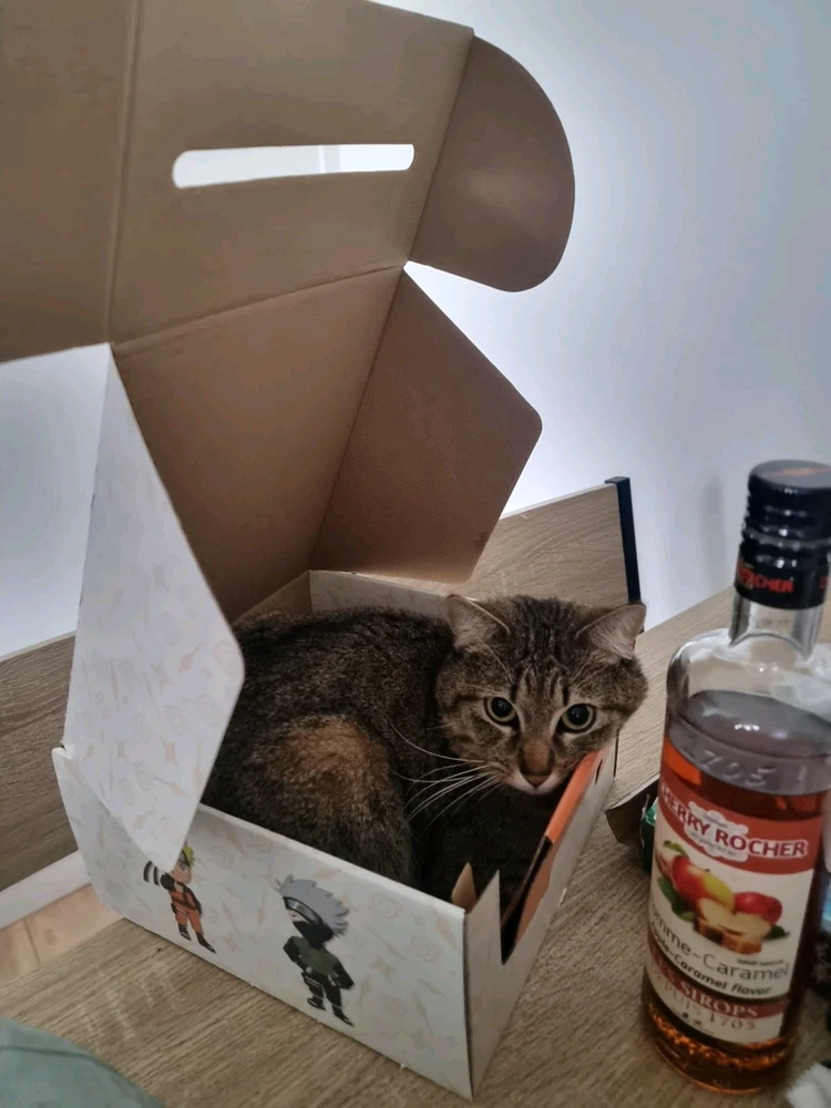 GIF ajouté par Clay
