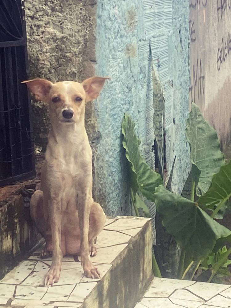 GIF uploaded by Rafael