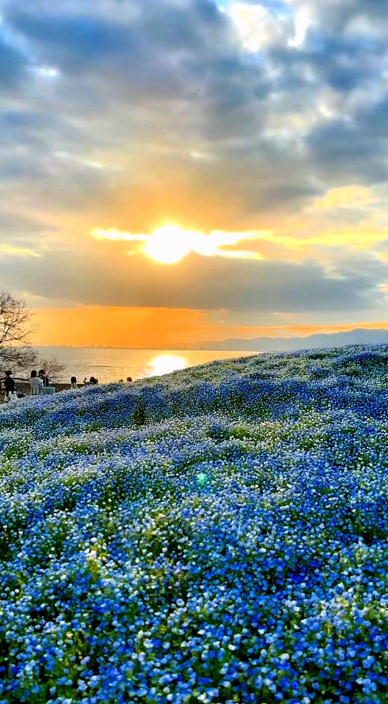 GIF uploaded by Arc