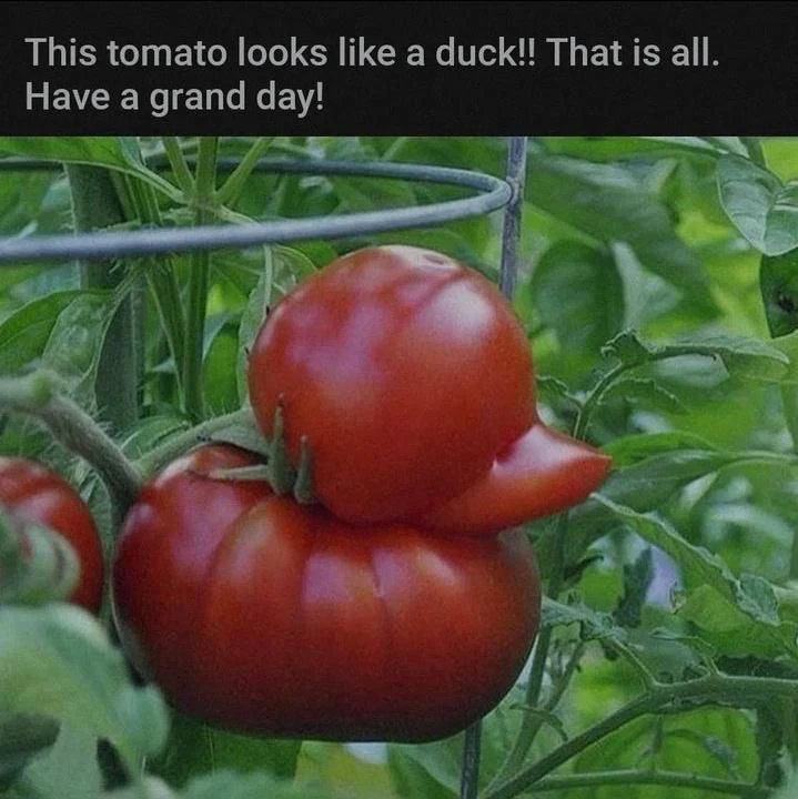 GIF uploaded by ℳ𝒾𝒹𝓃𝒾𝑔𝒽𝓉