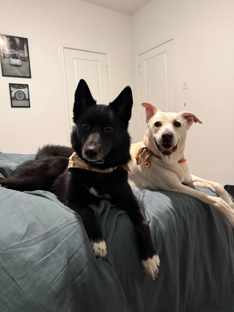 GIF uploaded by JT