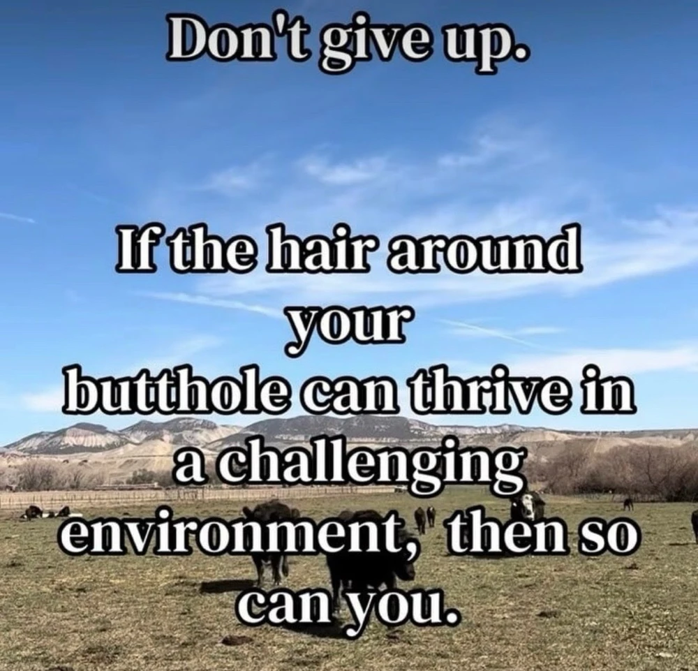 GIF uploaded by Veyra