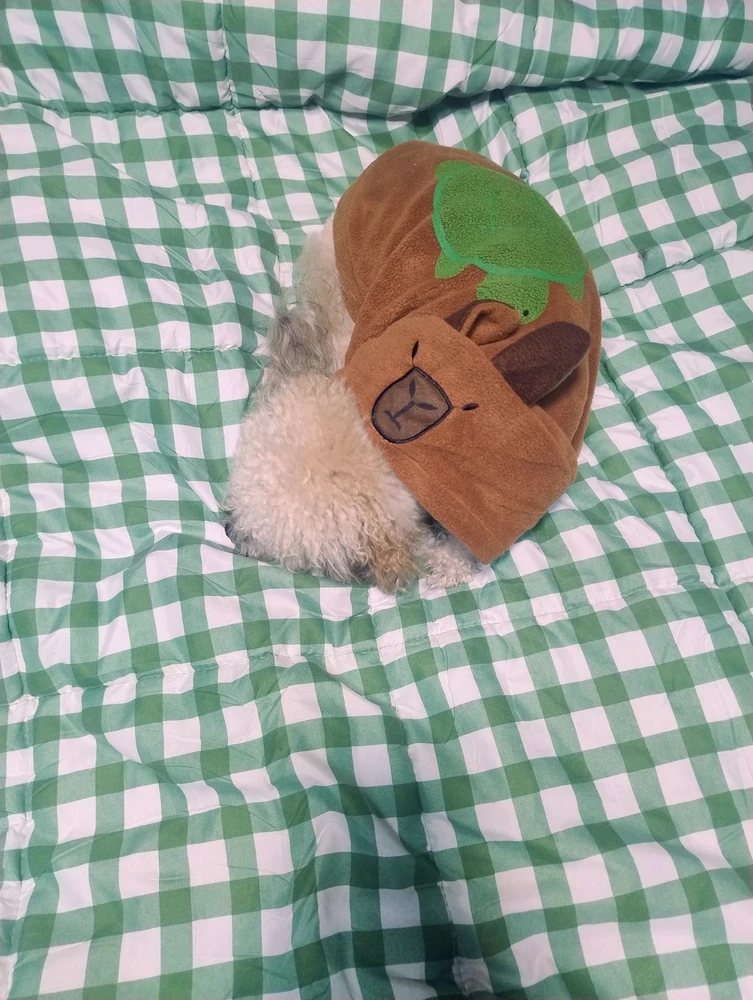 GIF subido por Milagros
