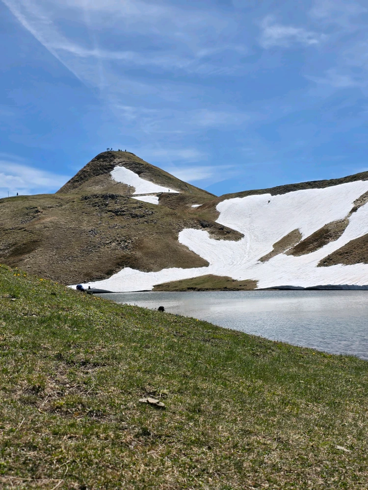 Image uploaded by Davide