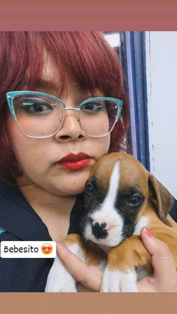 GIF subido por Diana B