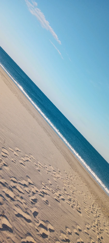 Image uploaded by Luce