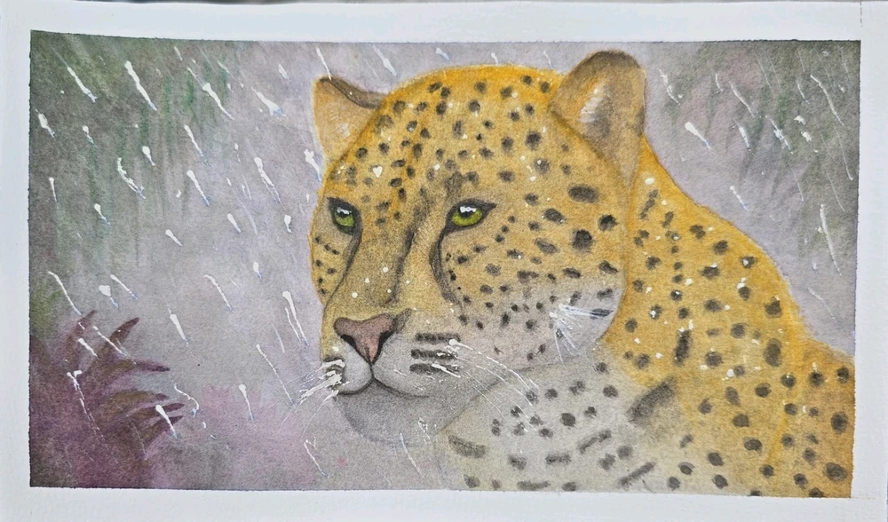 GIF uploaded by Luis M