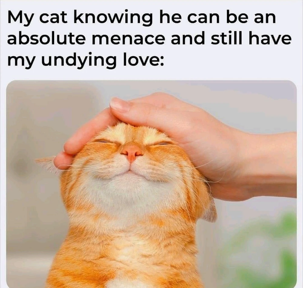 GIF uploaded by DezzieDee