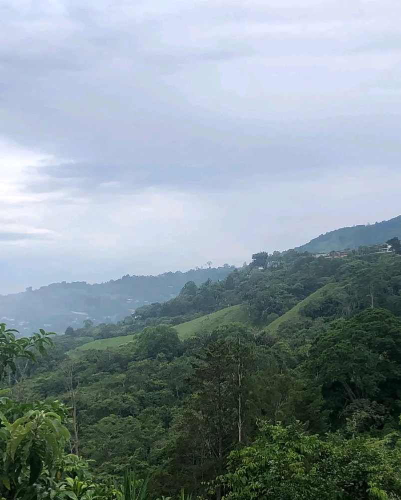 GIF uploaded by Dylan Meléndez