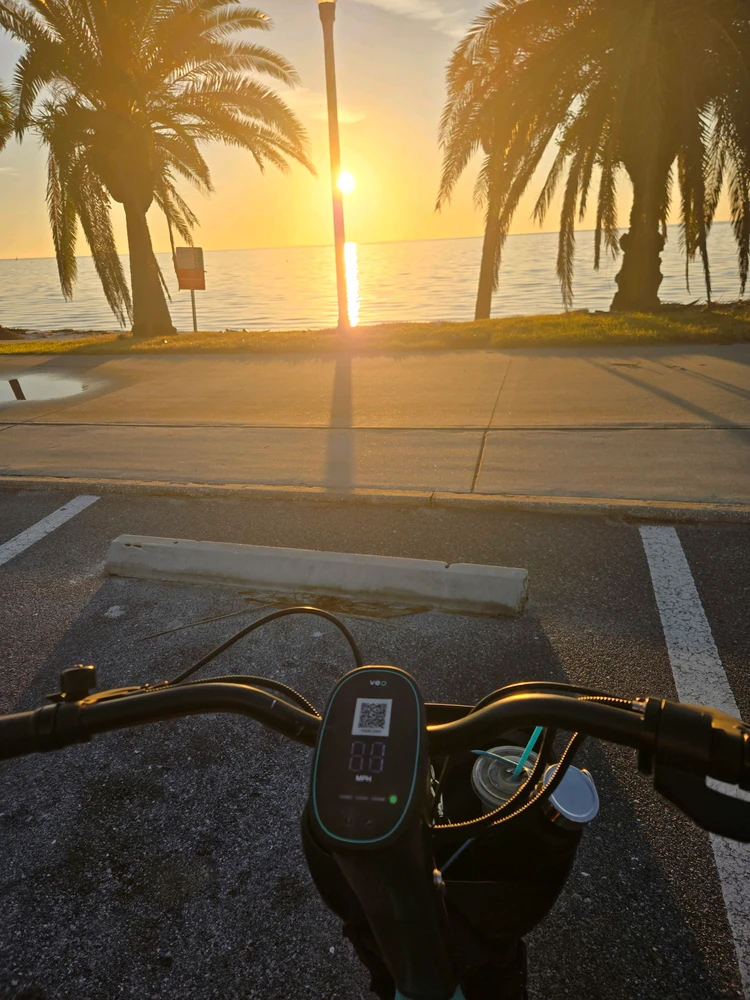 Image uploaded by K