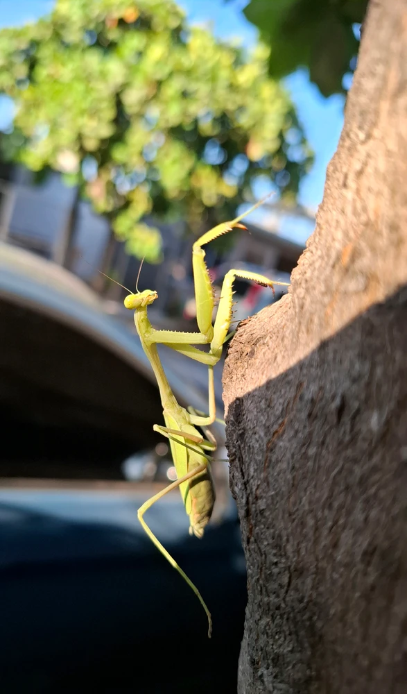 GIF uploaded by Lucero