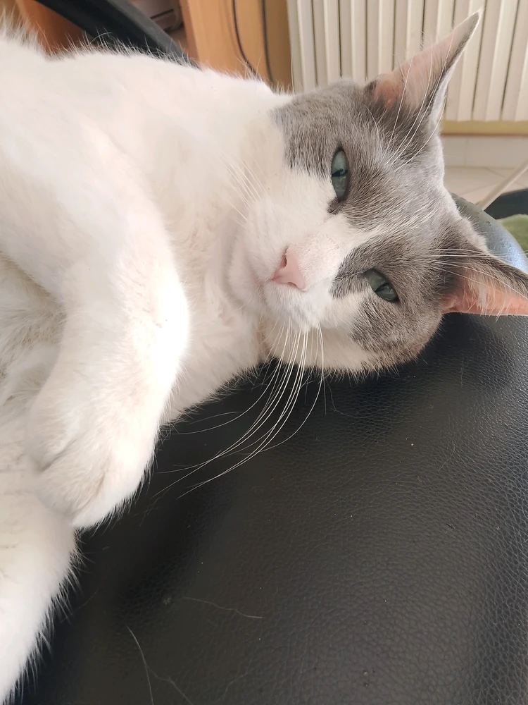 Image uploaded by Mr Nice