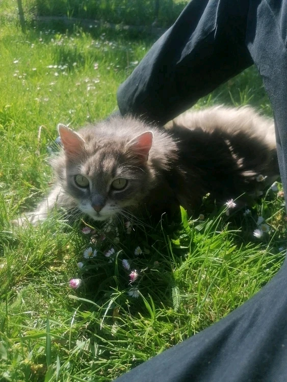 GIF uploaded by Szabolcs