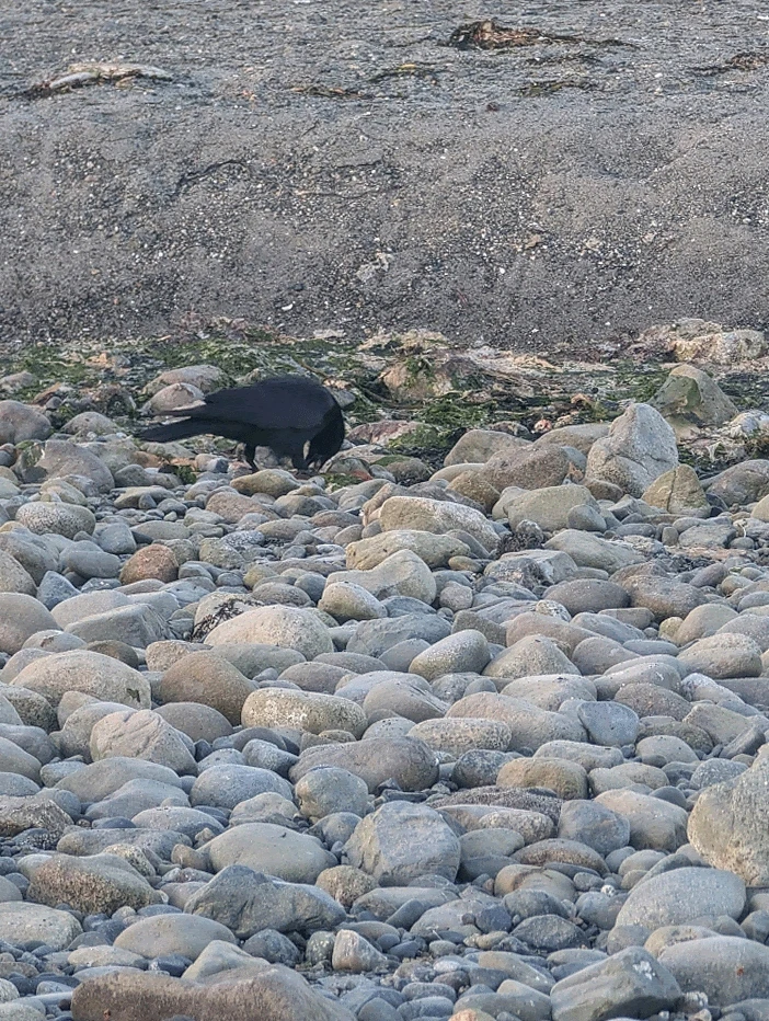 Image uploaded by Ken-ny Jinx