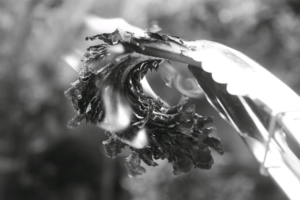 GIF uploaded by S