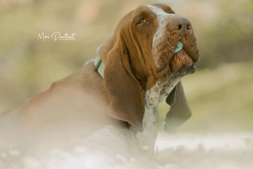 Image uploaded by Marika