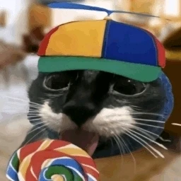 GIF uploaded by Роман