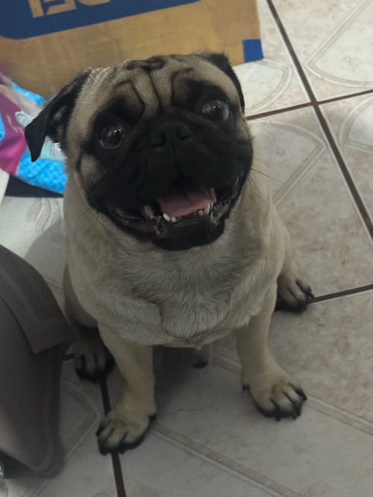 GIF uploaded by Cristian Cabrera