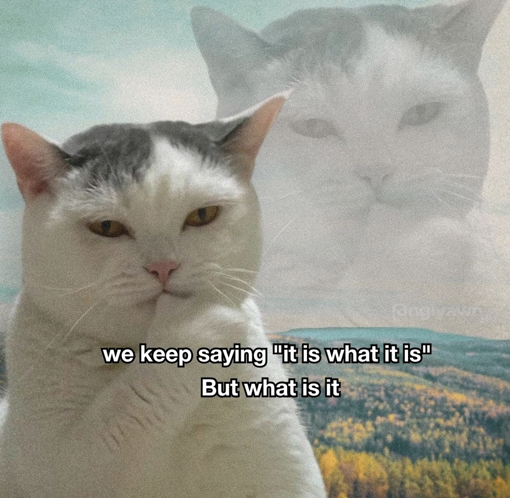 GIF uploaded by Sonny