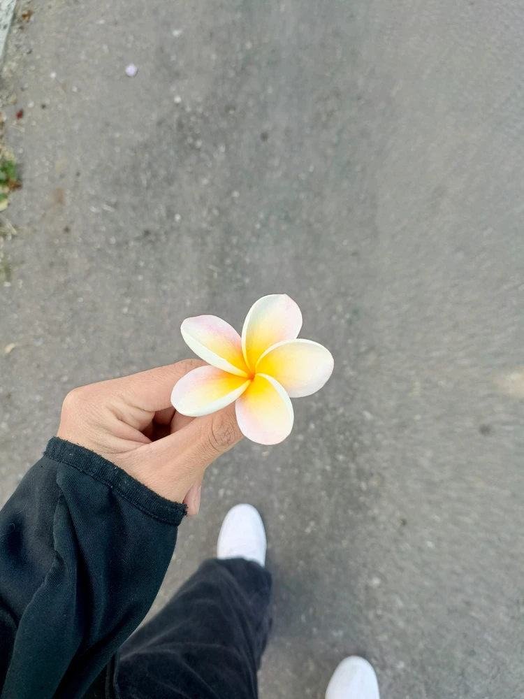 GIF uploaded by Hans