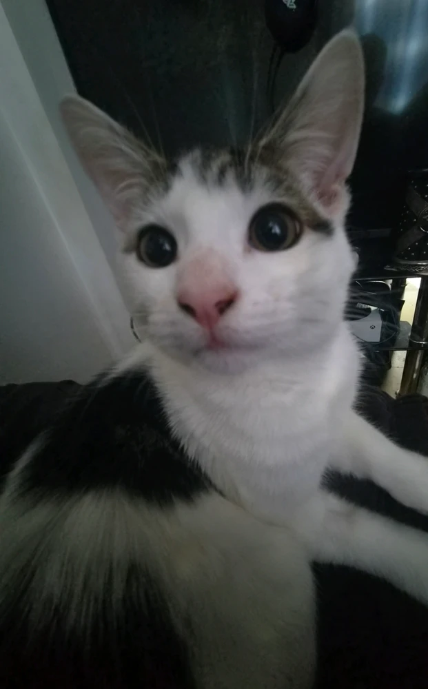 GIF uploaded by Sam