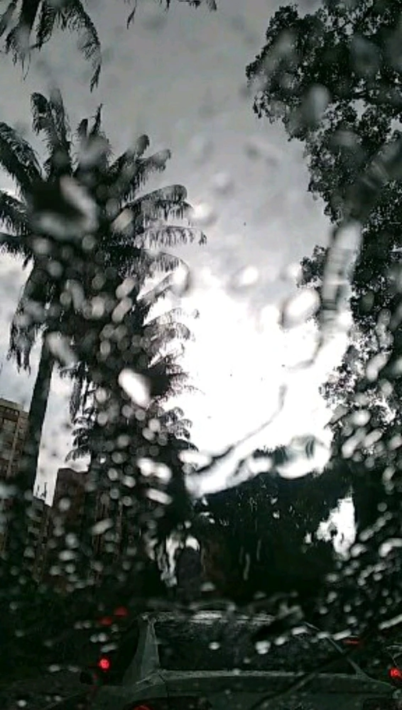 GIF uploaded by Miguel Bedon Chica