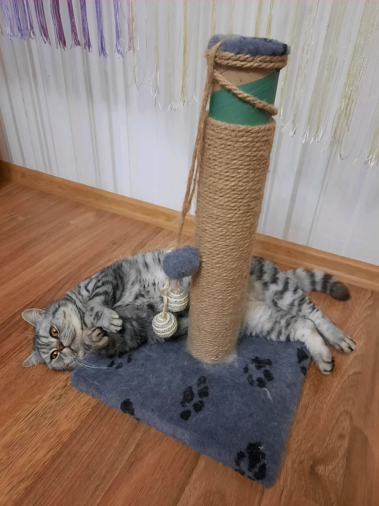 GIF загрузил Ульяна