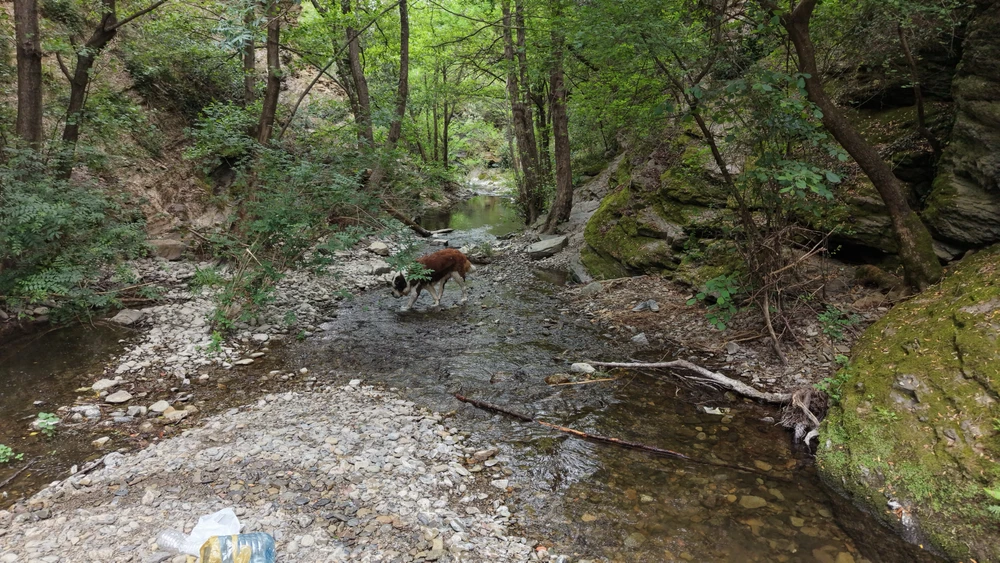 Image ajoutée par Tritri