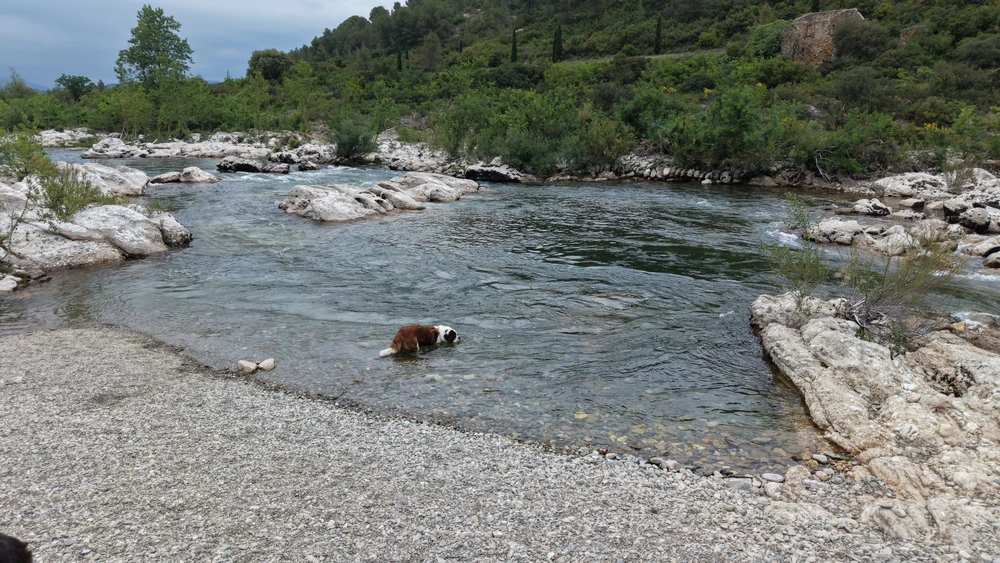 Image ajoutée par Tritri