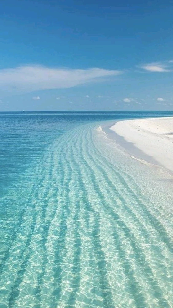 GIF uploaded by Ibtesam