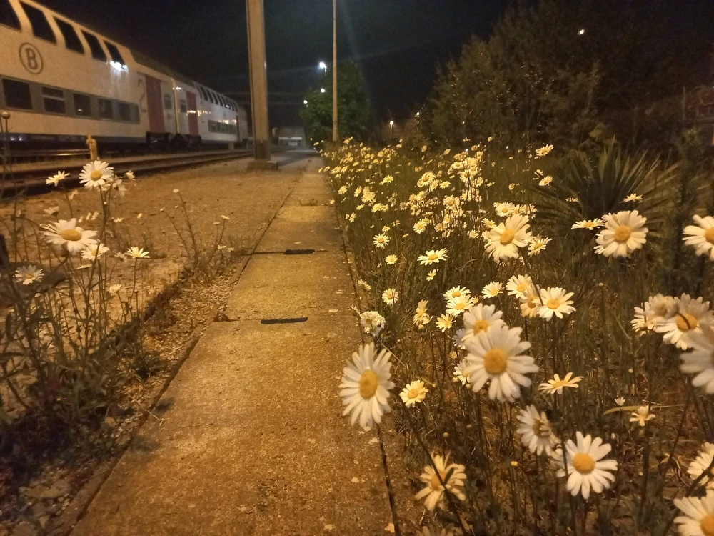 GIF geüpload door Benny