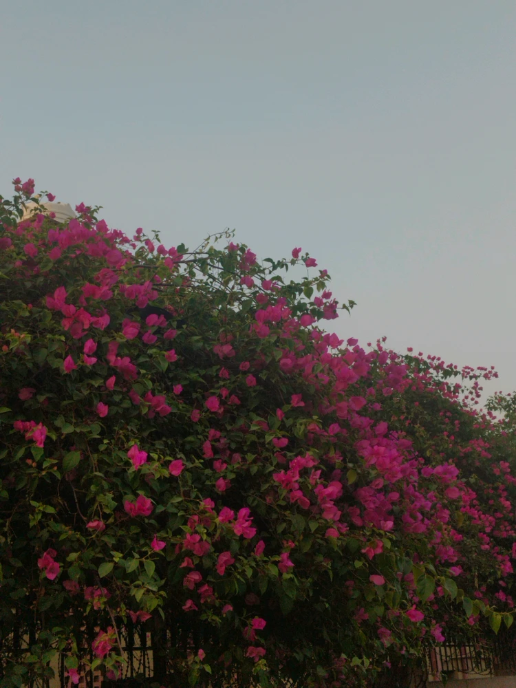 GIF uploaded by Keshav