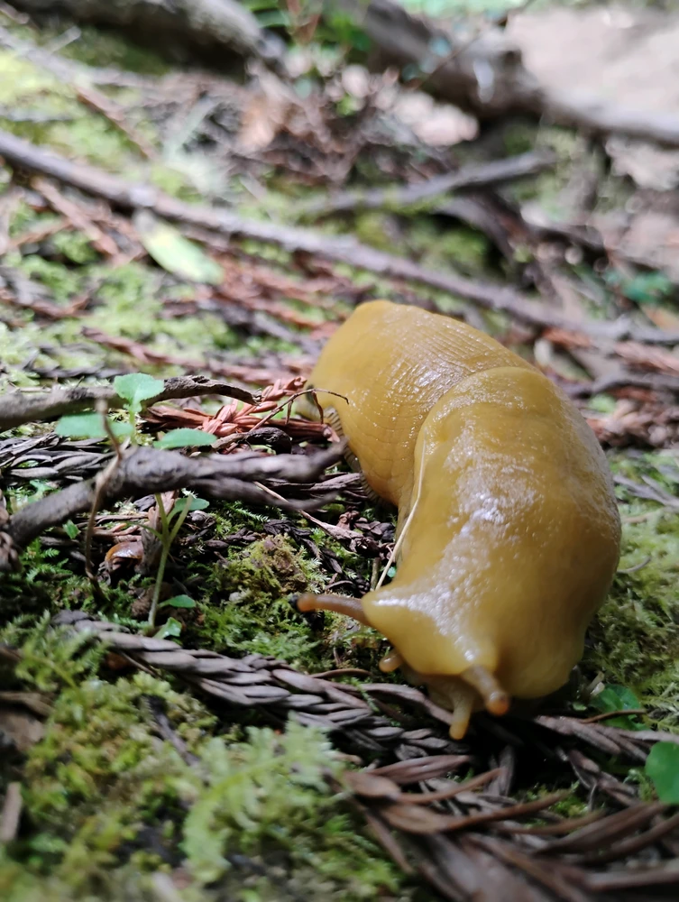 Image uploaded by Elyse