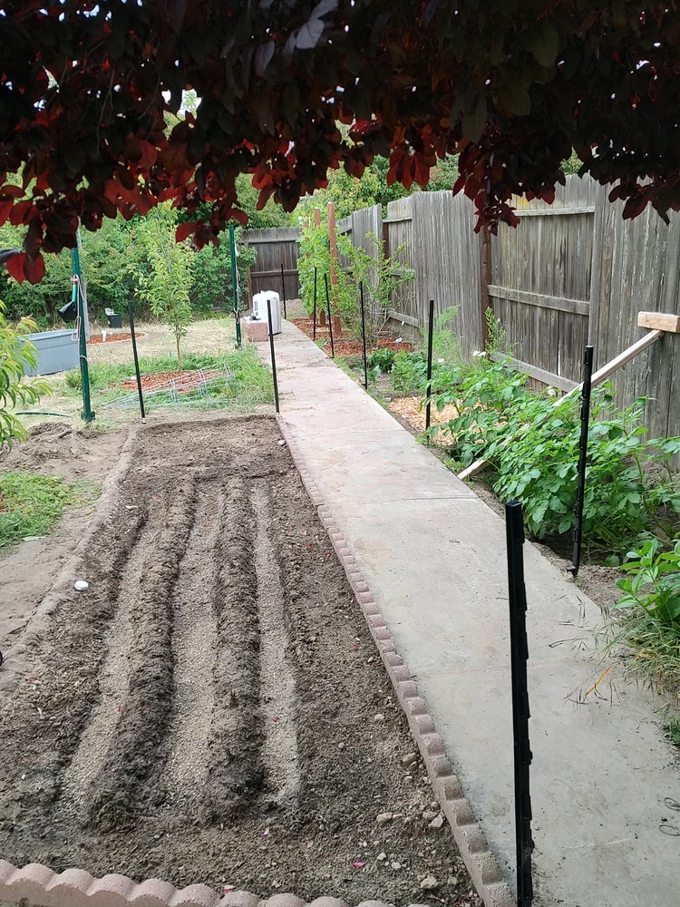 Total growing beds:
