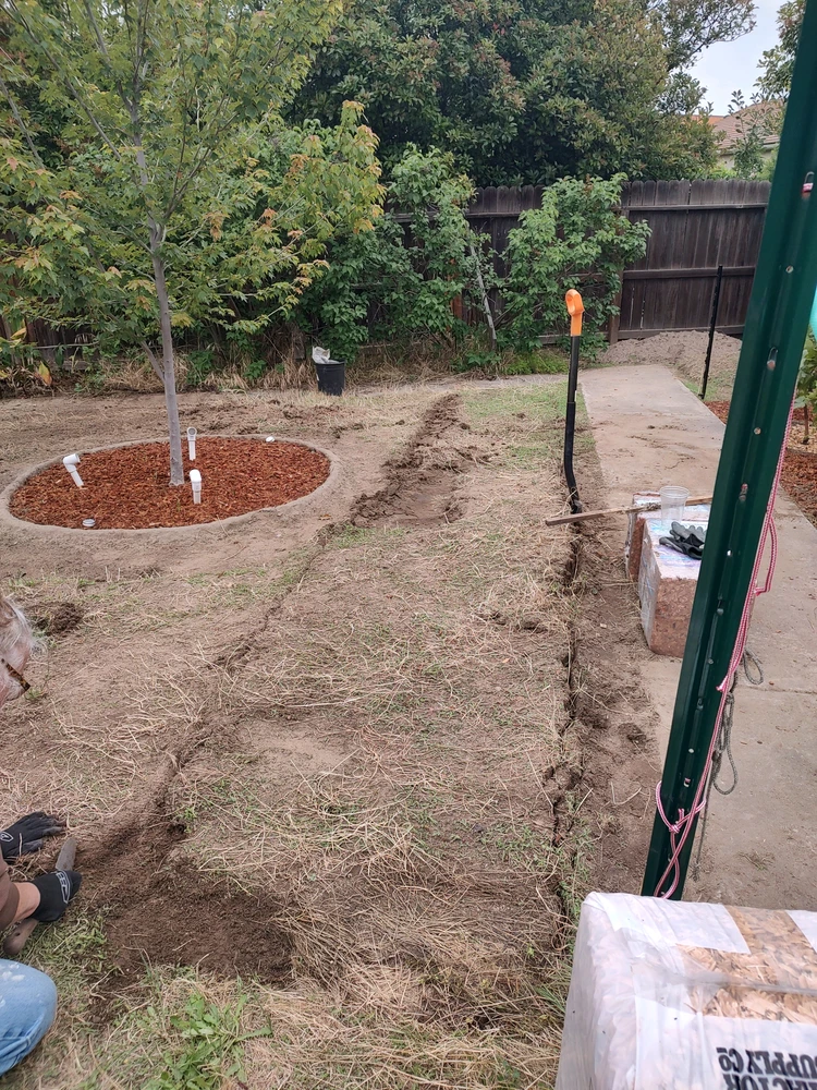 New crop bed
